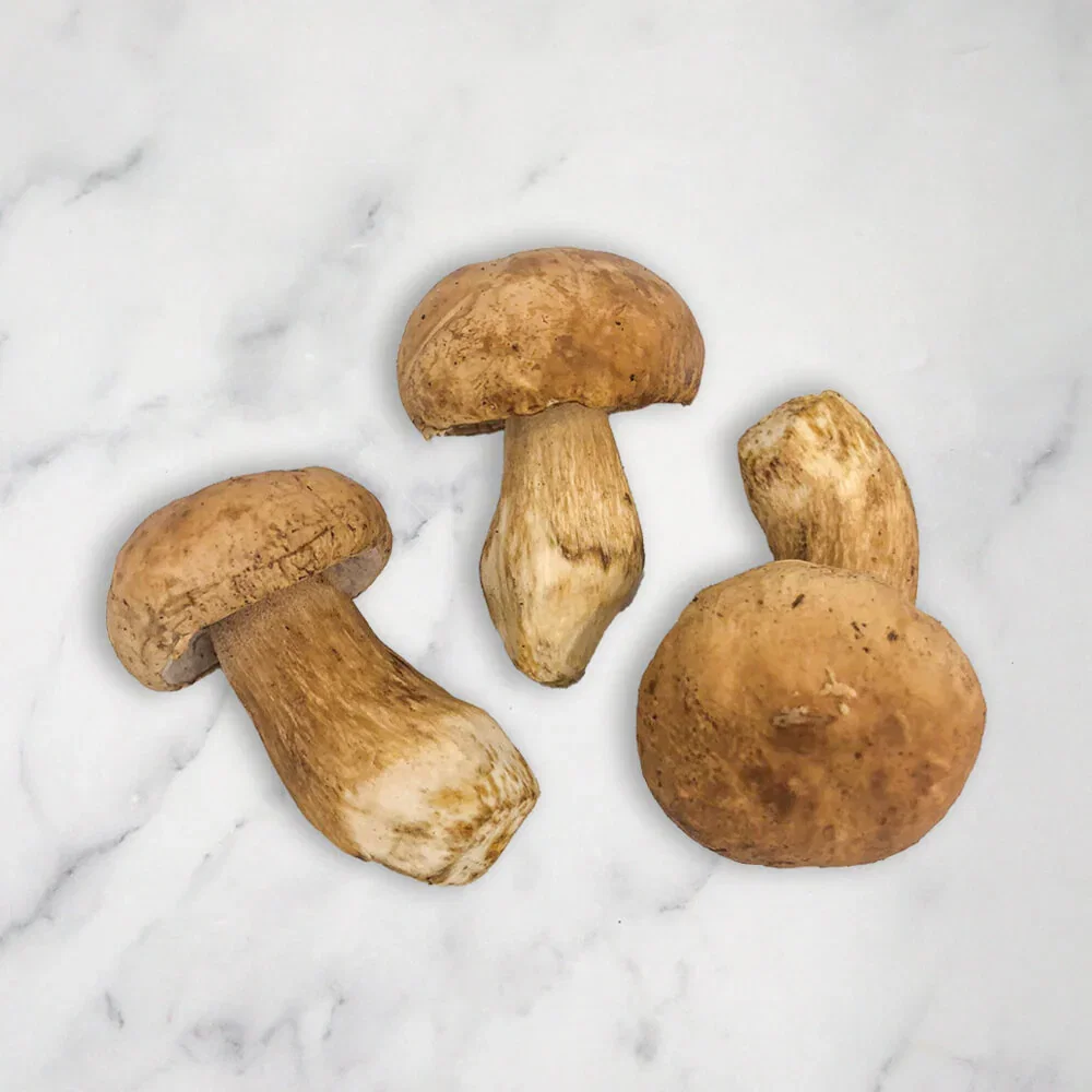 Image of Porcini Mushrooms, Fresh