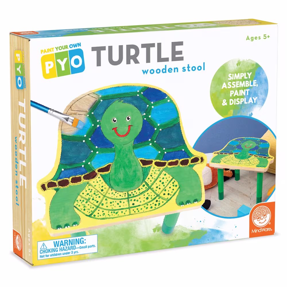 Paint Your Own Stool: Turtle