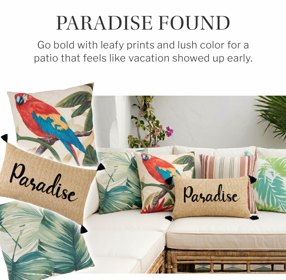 paradise found