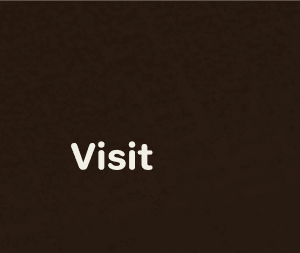 Visit