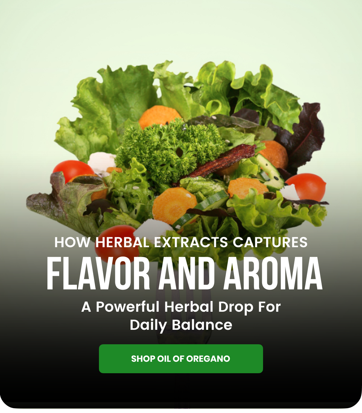 How Herbal Extracts Captures  Flavor And Aroma A Powerful Herbal Drop For Daily Balance