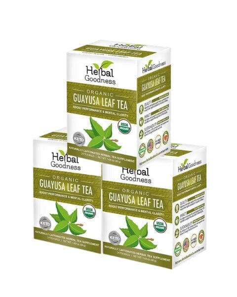 Image of Guayusa Tea Organic 24 Bags | Natural Energy & Focus Support