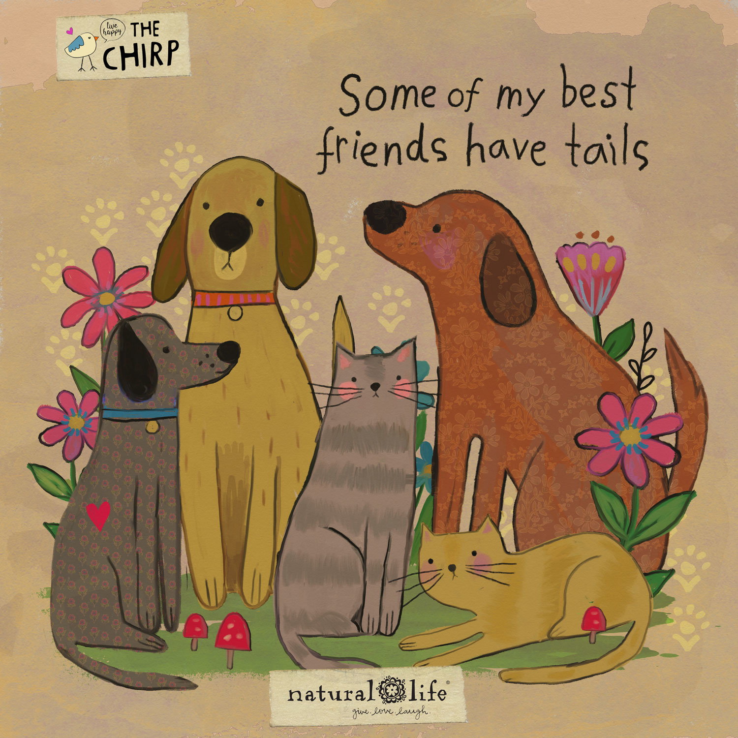 chirp_petlovers