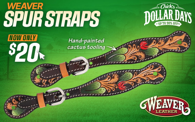 Weaver Leather Spur Straps $20 - Dollar Days Deal