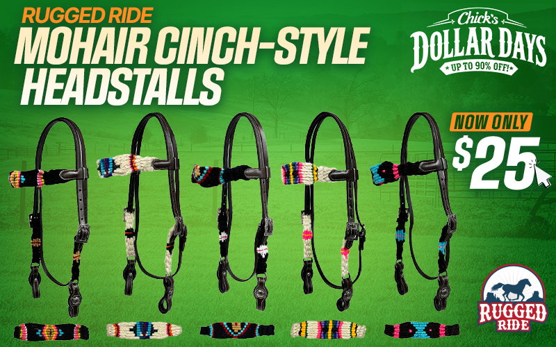 Cinch Style Headstalls $25 - Dollar Days Deals
