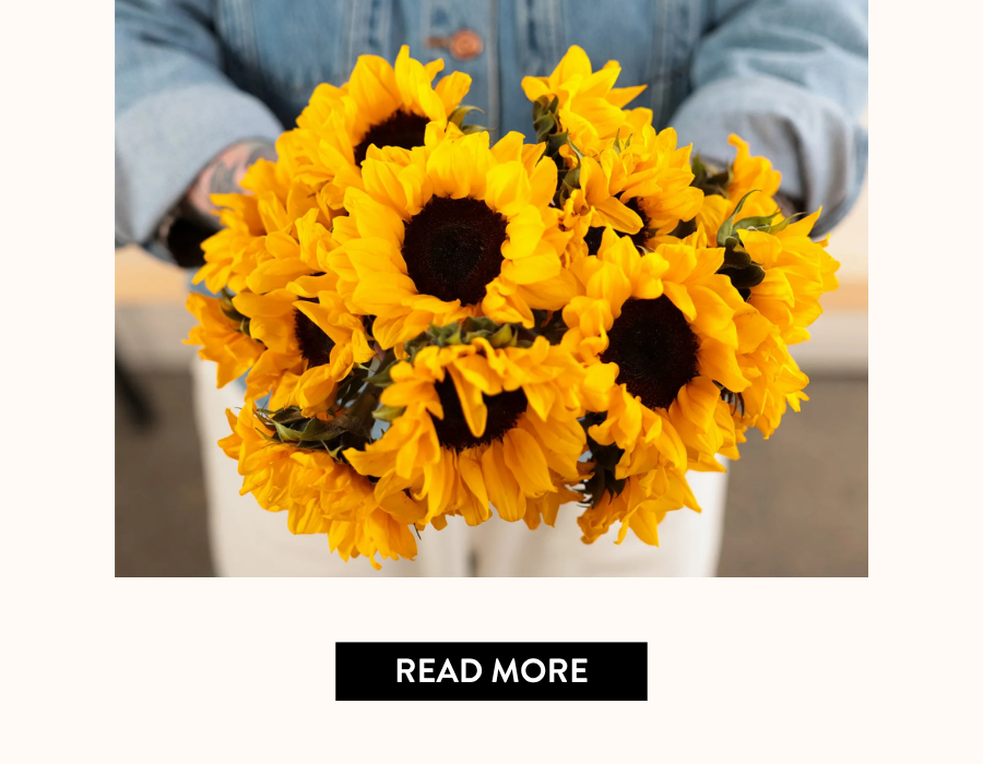 Product feature for “No Matter Watt,” showing a bouquet of bright yellow sunflowers held in hand with a denim jacket behind: Button Text below reads “read more