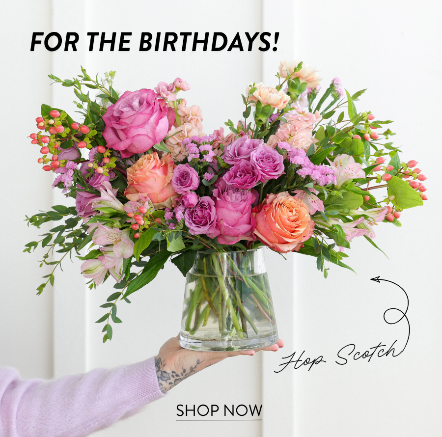 Product feature for “Hop Scotch,” showing a pink, peach, purple, and green floral arrangement in a clear glass vase held by someone in a lavender sleeve. Text reads “For the Birthdays!” with a “Shop Now” link.