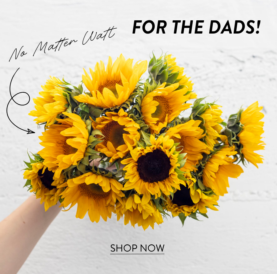 Product feature for “No Matter Watt,” showing a bright yellow sunflower bouquet held by someone wearing denim. Text reads “For the Dads!” with a “Shop Now” link.