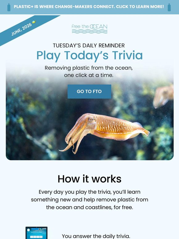 Play Tuesday's Trivia + Remove Plastic from the Ocean