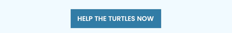 Protect Sea Turtles