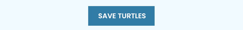 Save Sea Turtles Now