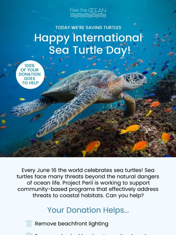 Happy International Sea Turtle Day! 💕🐢