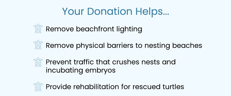 Join us in protecting vulnerable nesting beaches.