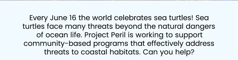 Celebrate International Sea Turtle Day by funding critical habitat protection.