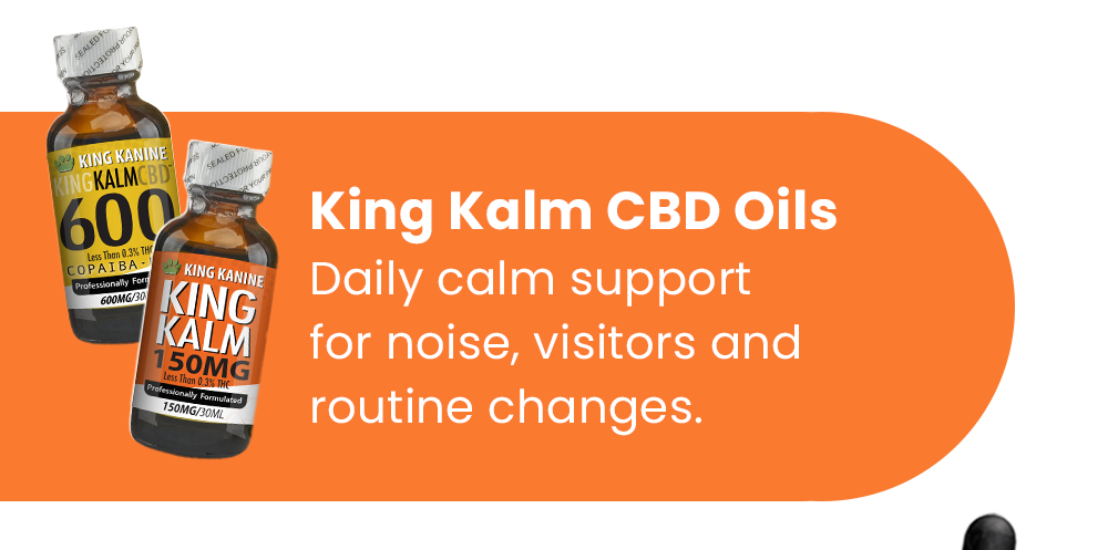 King Kalm CBD Oils Daily calm support for noise, visitors and routine changes.
