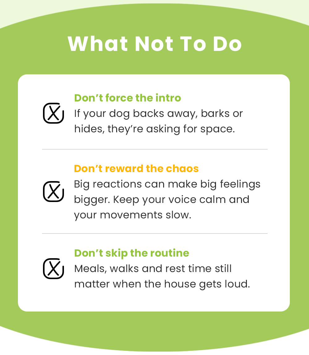 What Not To Do  Don’t force the intro If your dog backs away, barks or hides, they’re asking for space.  **Don’t reward the chaos** Big reactions can make big feelings bigger. Keep your voice calm and your movements slow.  **Don’t skip the routine** Meals, walks and rest time still matter when the house gets loud.
