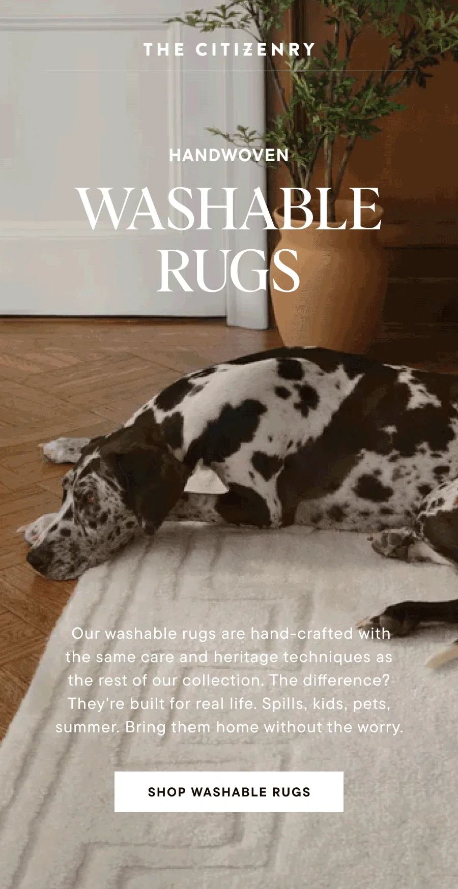 WASHABLE RUGS