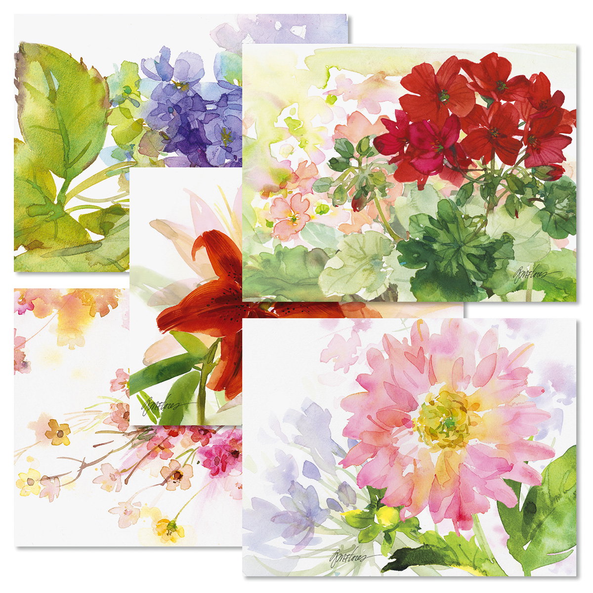 Image of Watercolor Garden Note Card Value Pack - BOGO