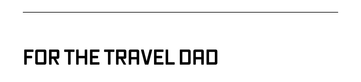 FOR THE TRAVEL DAD 