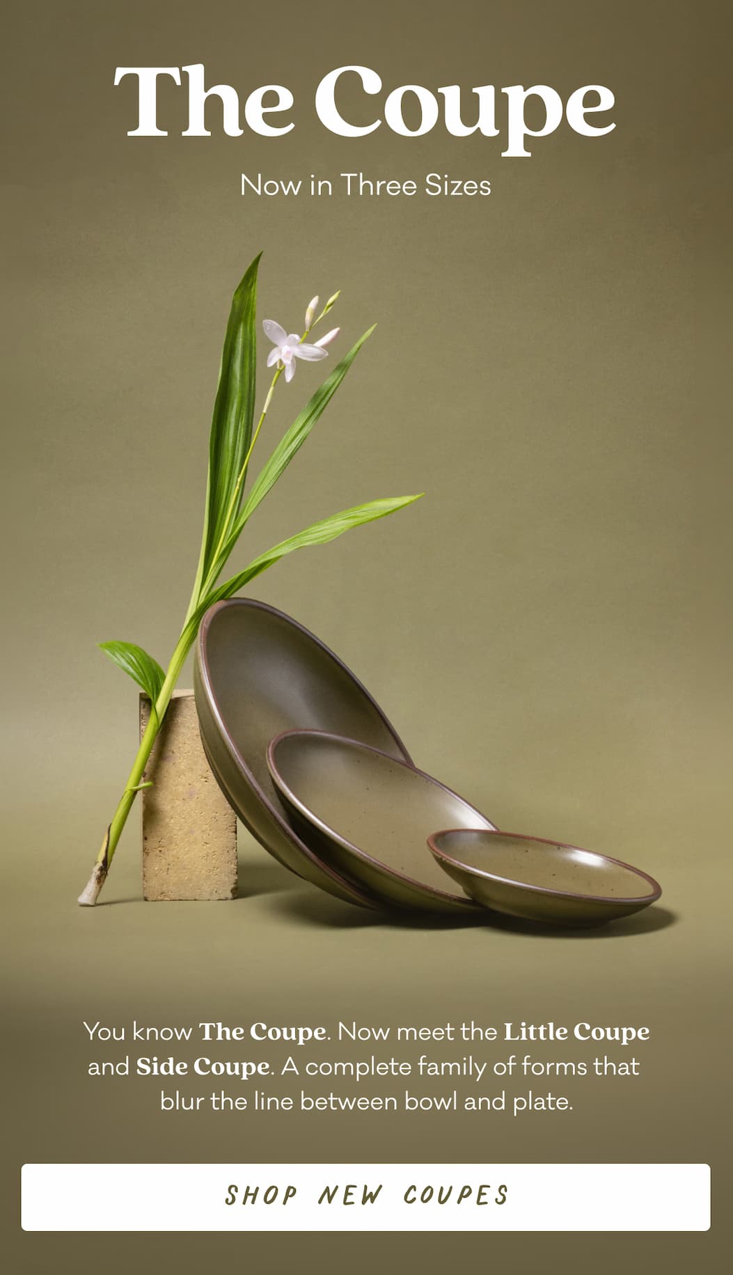 The Coupe - Now in Three Sizes - You know The Coupe. Now meet the Little Coupe and Side Coupe. A complete family of forms that  blur the line between bowl and plate. Shop New Coupes