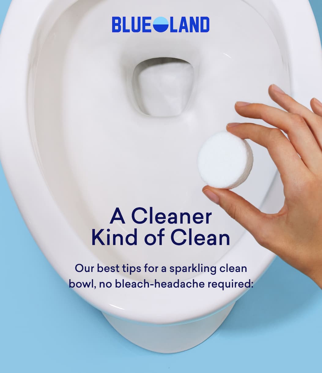 Our best tips for a sparkling clean bowl.