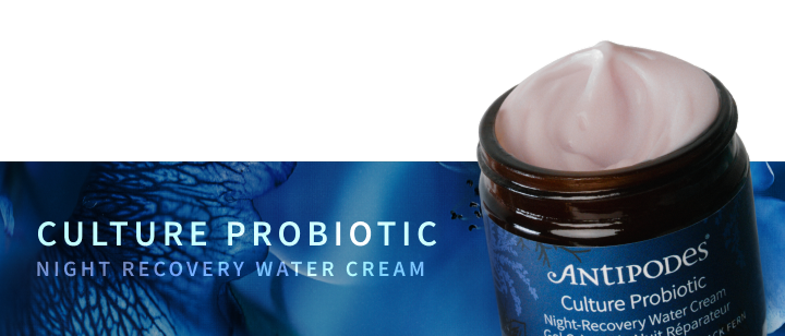 Culture Probiotic