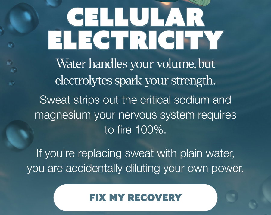  CELLULAR ELECTRICITY Water handles your volume, but electrolytes spark your strength. Sweat strips out the critical sodium and magnesium your nervous system requires to fire 100%. If you're replacing sweat with plain water, you are accidentally diluting your own power. FIX MY RECOVERY