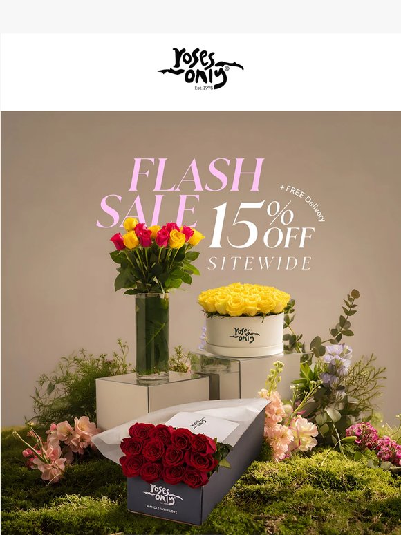 A New Offer Just Bloomed🌹