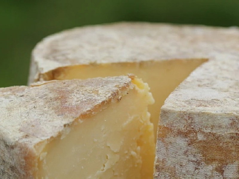 How Artisan Cheese Fits Into a Modern Lifestyle