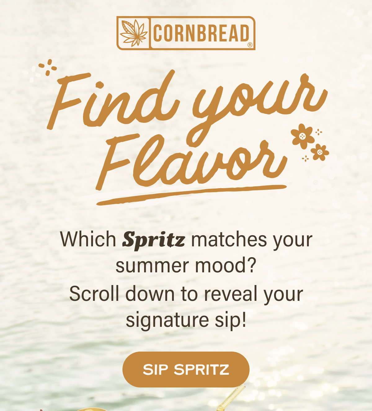 Find Your Flavor