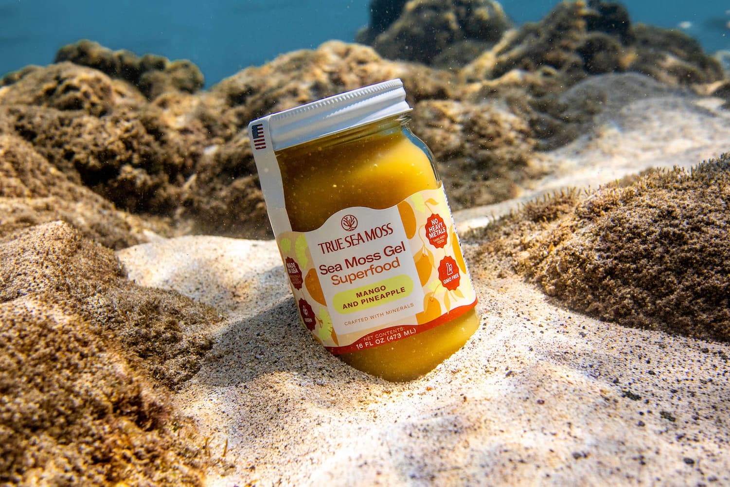 7 reasons to take sea moss daily