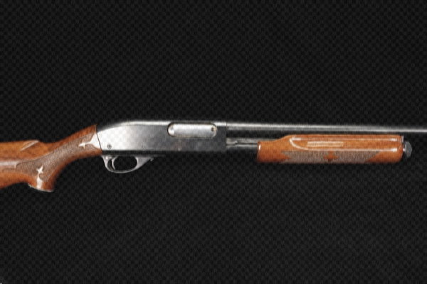 Pump Shotguns