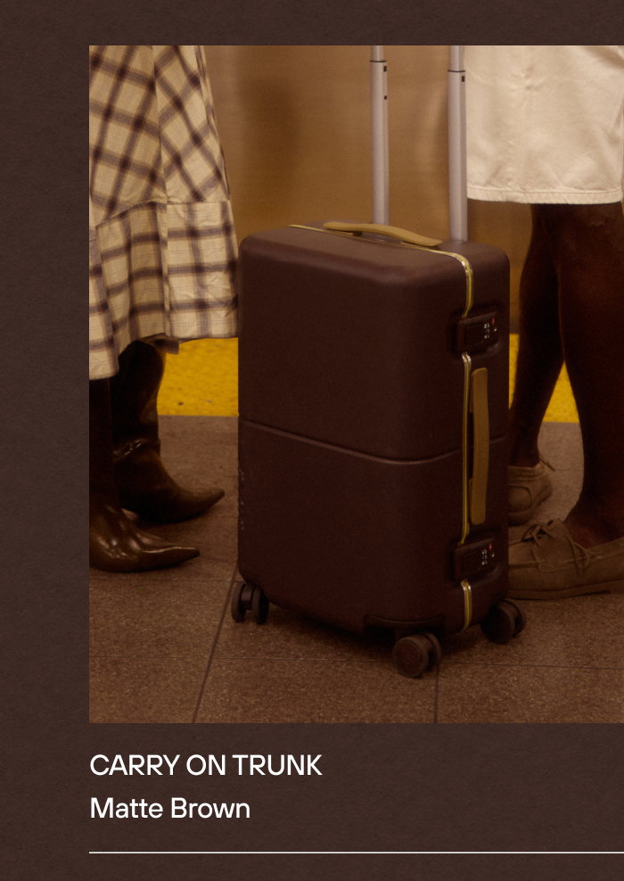 Carry On Trunk Matte Brown