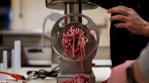 1.5 HP Grinder