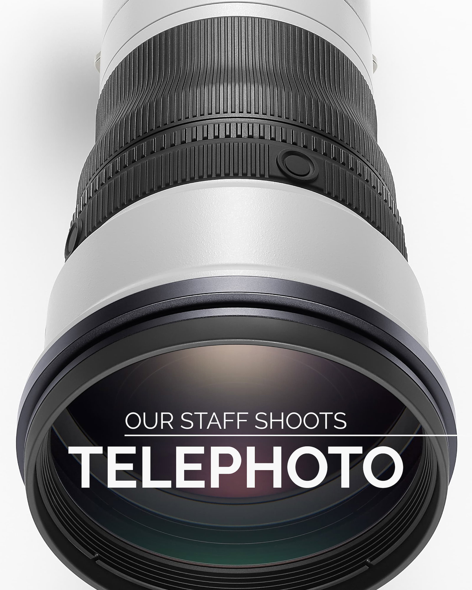 Our Staff Shoots Telephoto