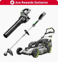Ace Rewards Exclusive
