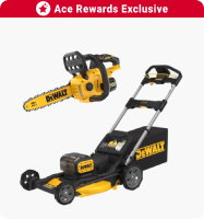 Ace Rewards Exclusive
