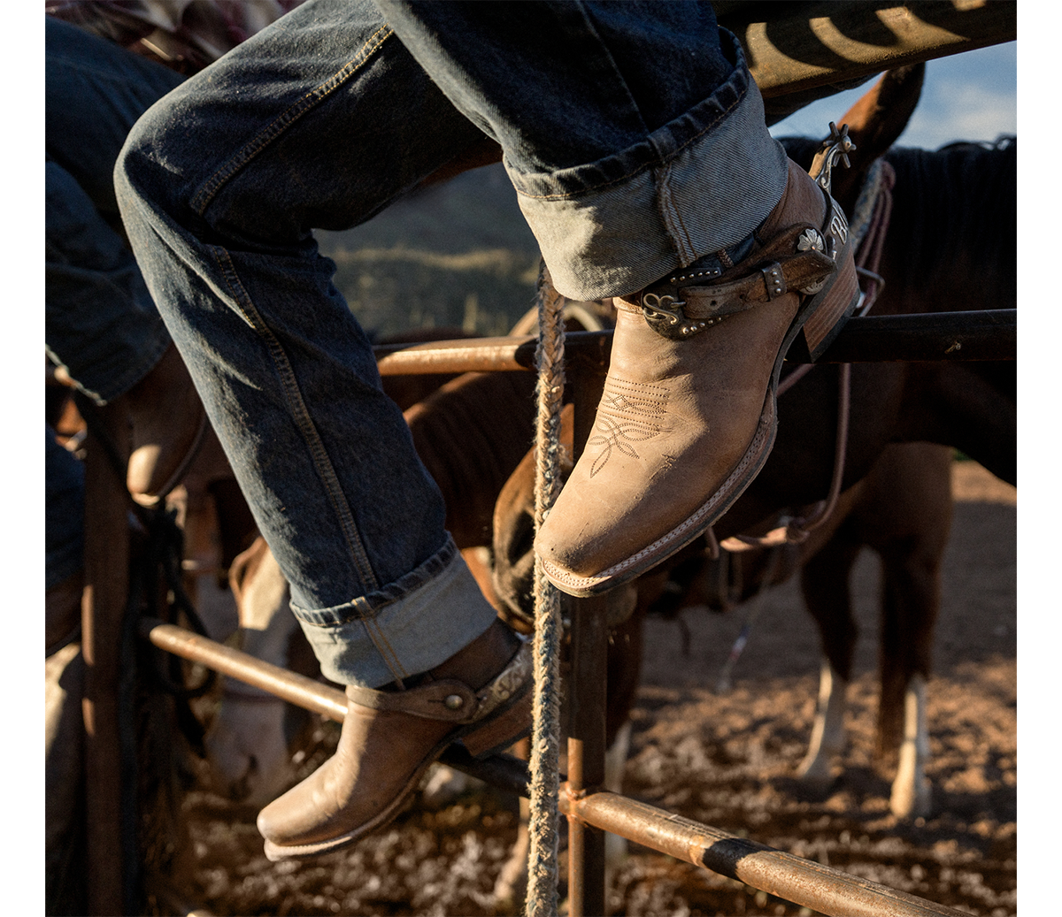 WESTERN BOOTS