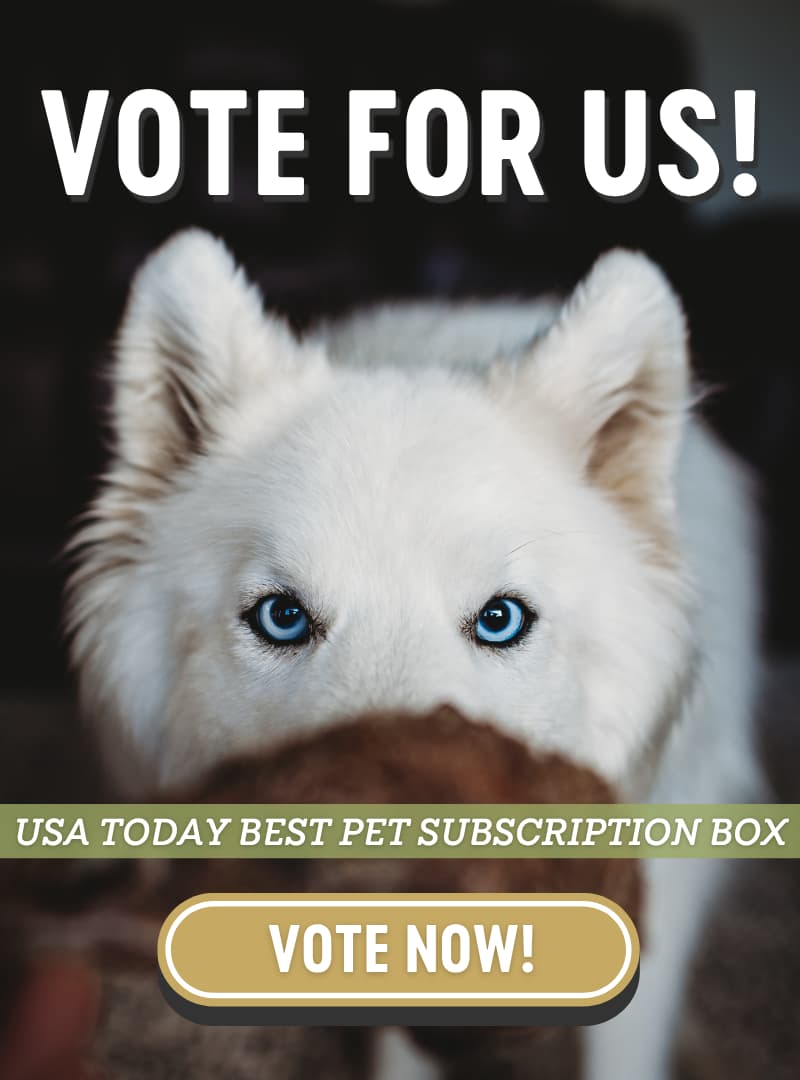 Vote for us! Dog looking at Turkey Head.
