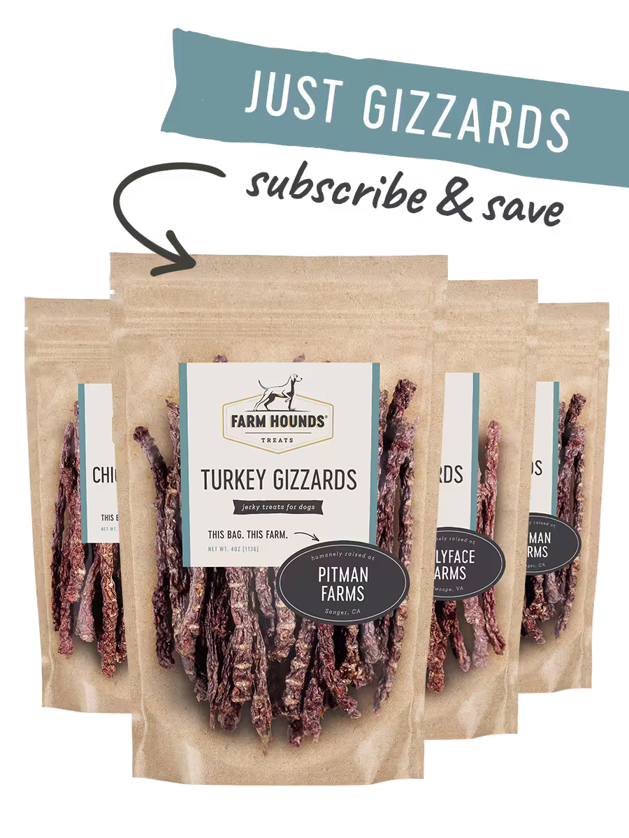 Image of Just Gizzard Sticks Box