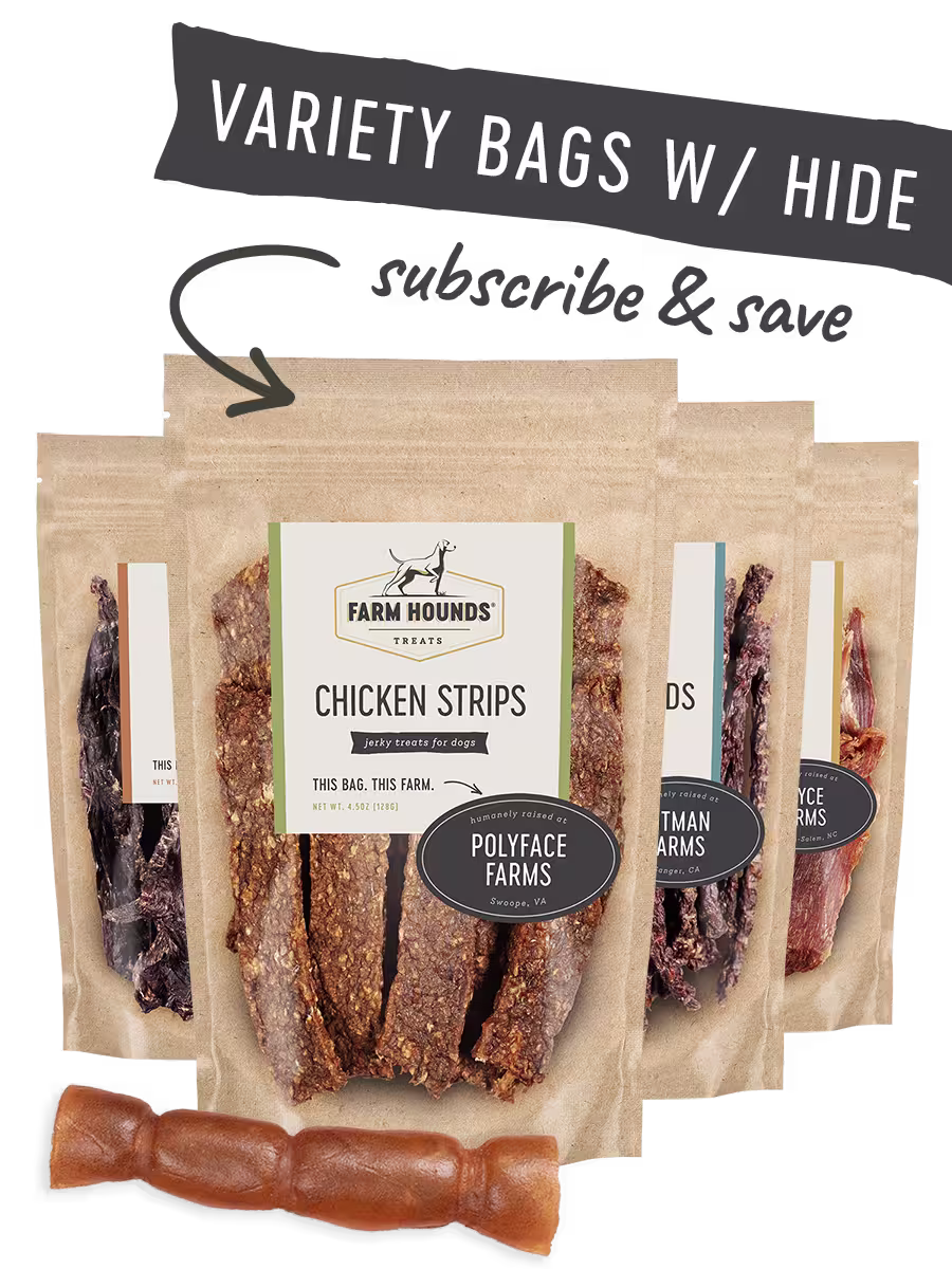 Image of Variety Bags with Hide Box