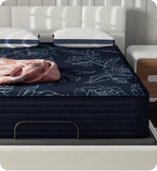 Shop Mattresses.