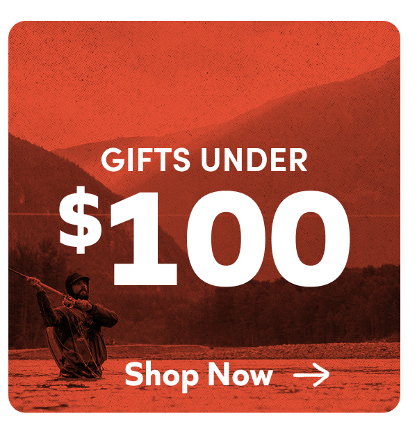 Gifts Under $100. Shop Now!