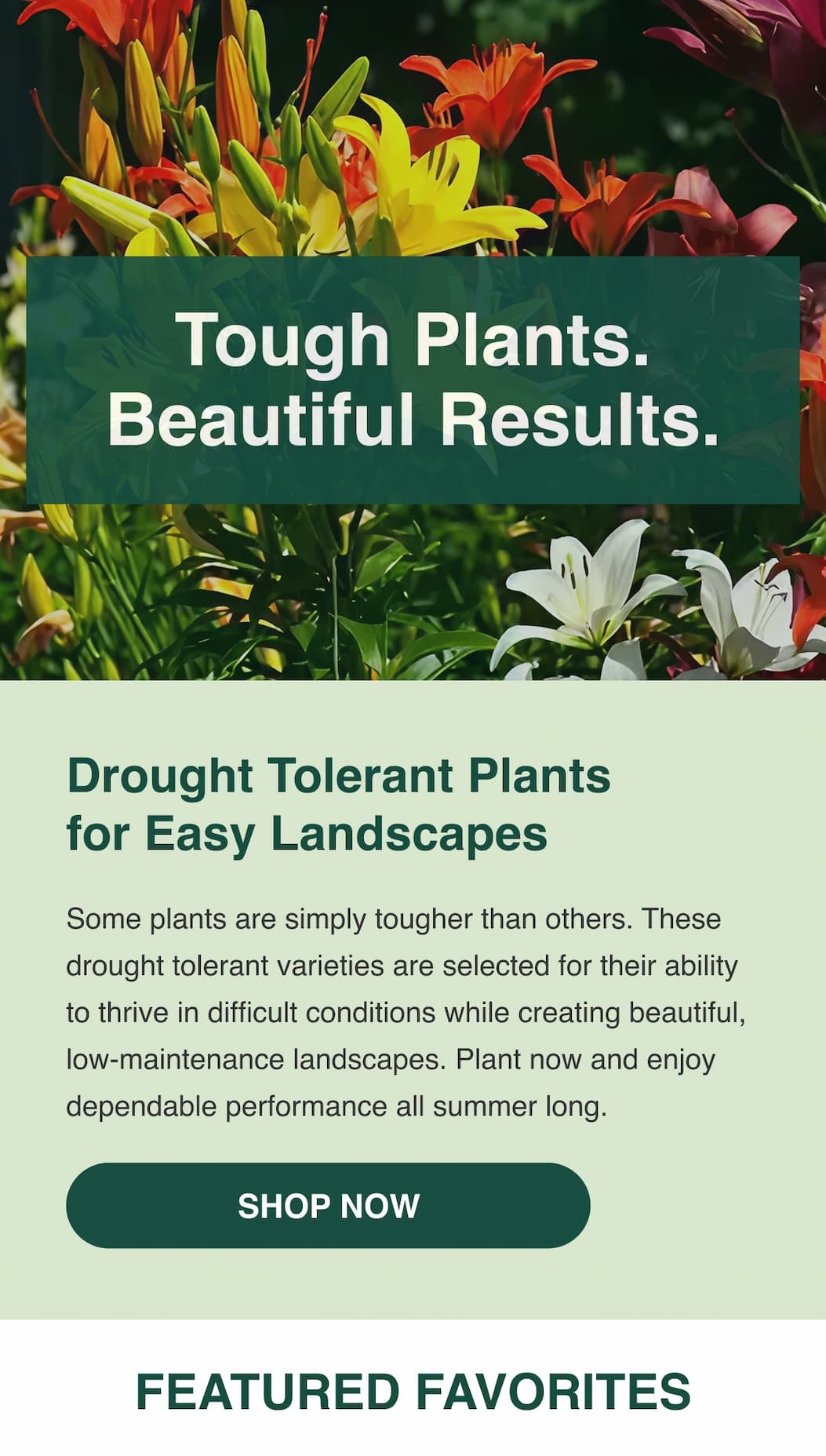Tough plants. Beautiful results.