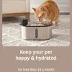 Cat Fountain Filters 5 Pieces Replacement Filtration System 3L Wireless Pet Water Dispenser Drinker Refills Purifier