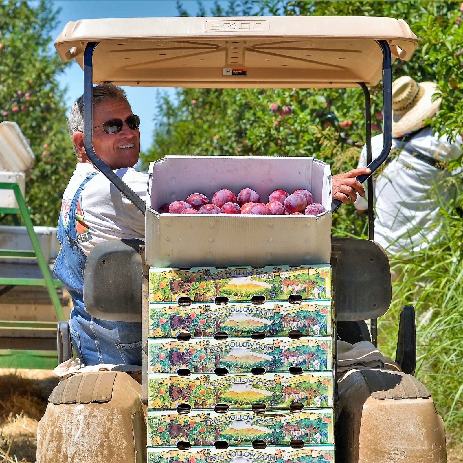 Image of Pick of the Crop | Organic Fruit Club