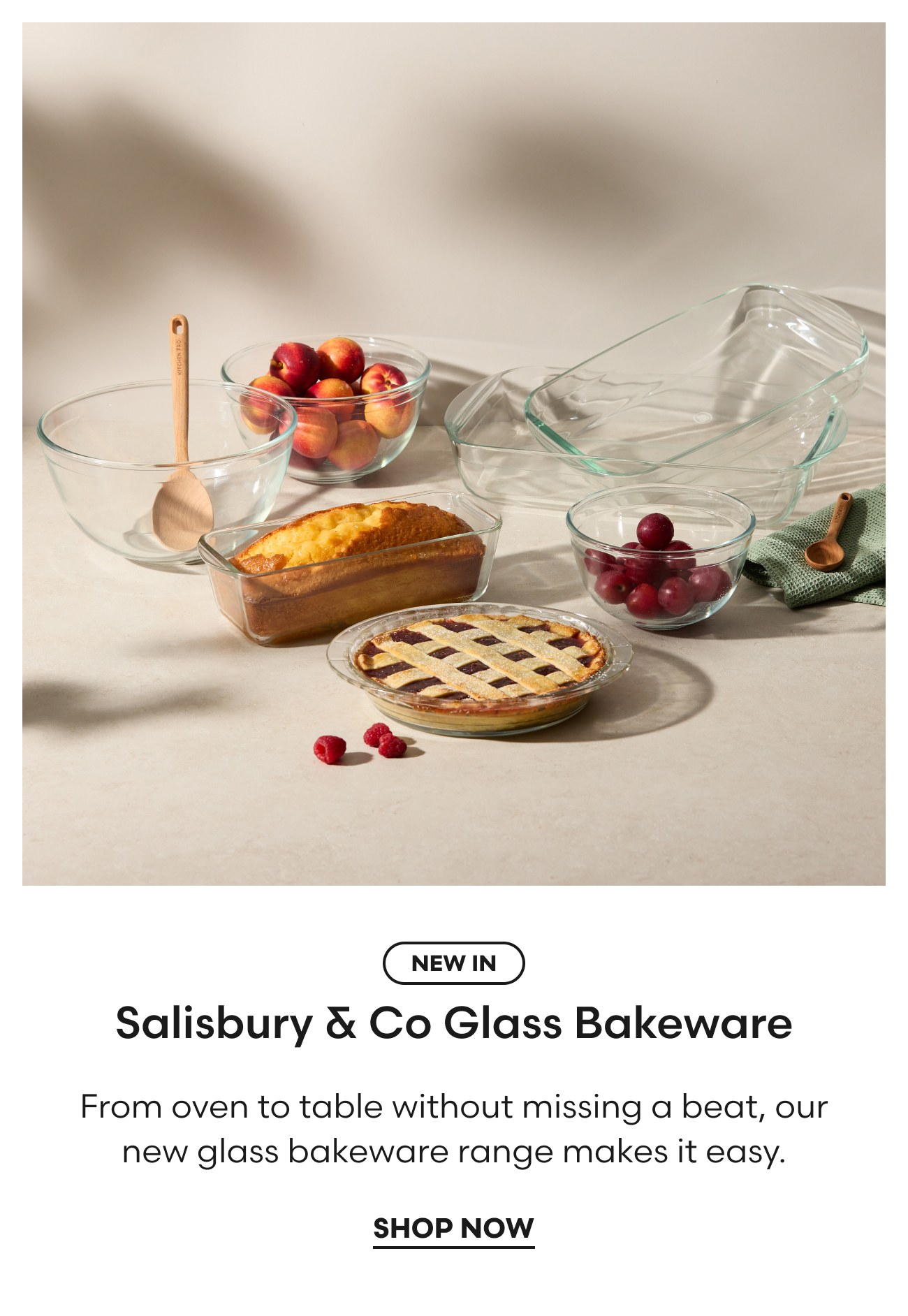 Salisbury & Co Glass Bakeware