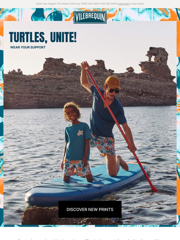 Turtles Helping Turtles