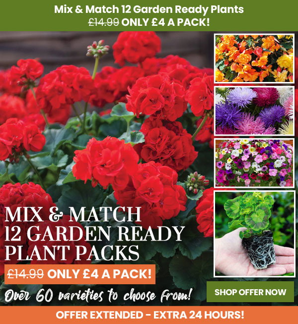 Garden Ready Mix & Match