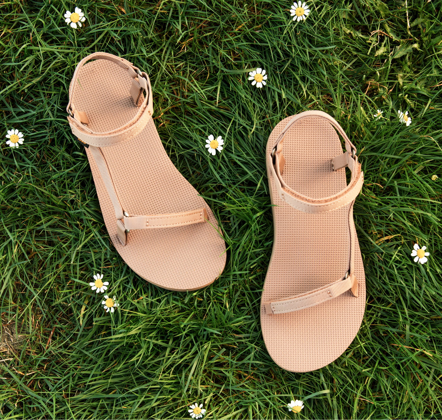 Classic Sandals